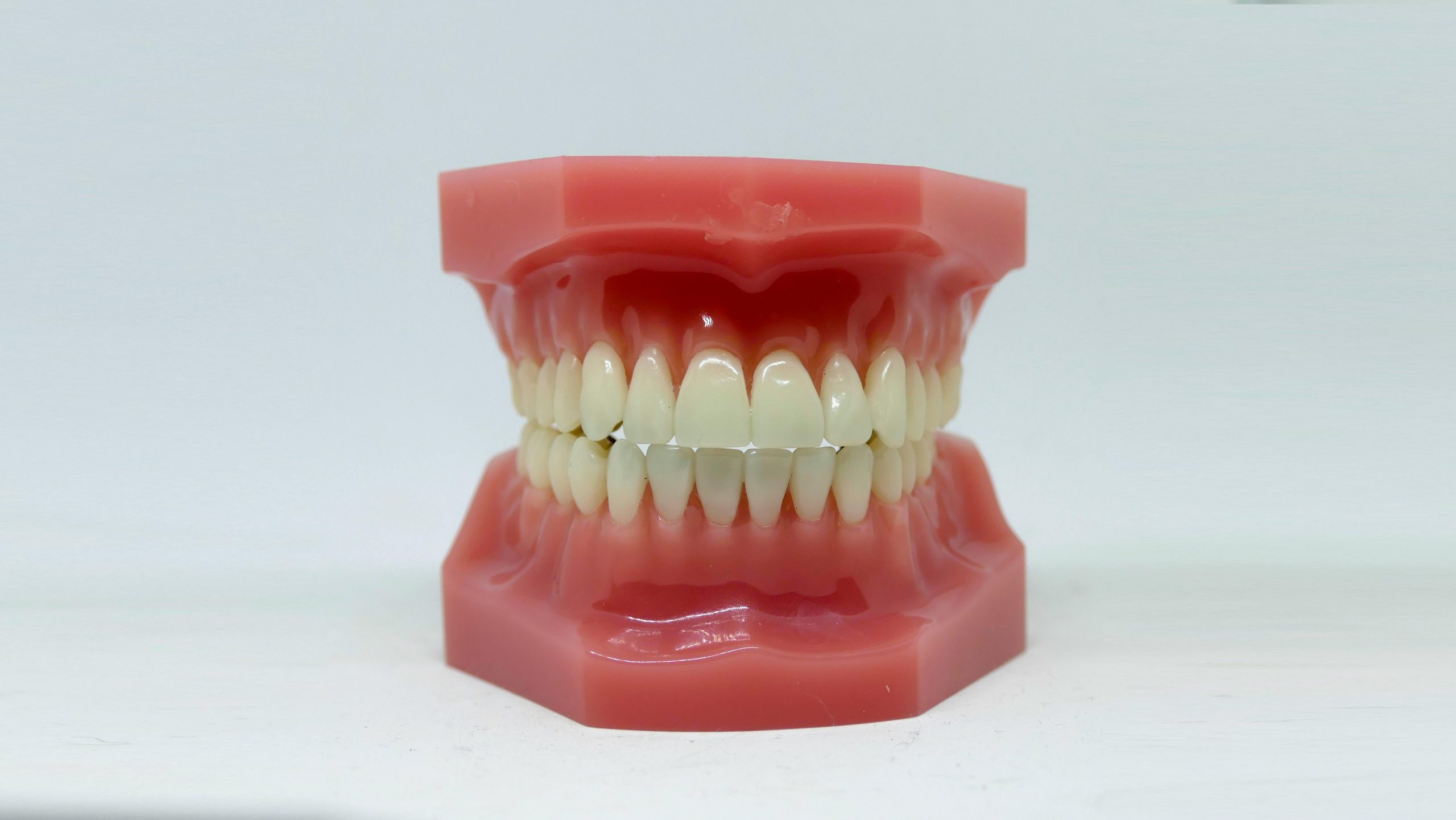 dental model